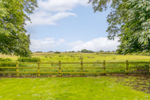 View over south paddock- click for photo gallery